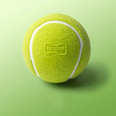 Joyful Latex Chatter Teeth for Dogs